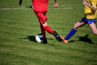 爱游戏app下载-NBA球员训练计划个性化设计，nba球员训练视频,篮球技术