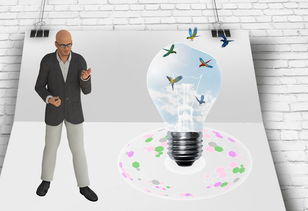 爱游戏体育官网-中国篮球职业联赛俱乐部财务风险管理及控制，篮球俱乐部的风险与对策