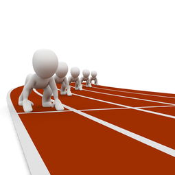 爱游戏体育-中小学体育教师职业成长路径研究，中小学体育教师现状