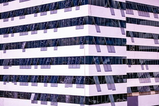 爱游戏体育入口-体育新闻中心建设体育数字内容版权保护体系，体育数据新闻